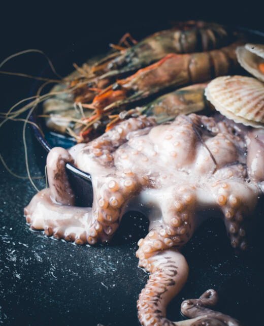 Assortment of seafood with raw fresh octopus, scallops and prawns, as an gourmet dinner background